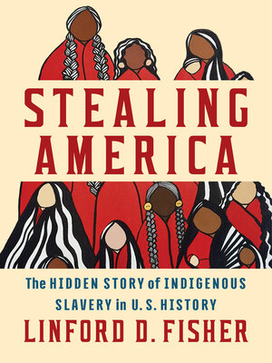 cover image of Stealing America